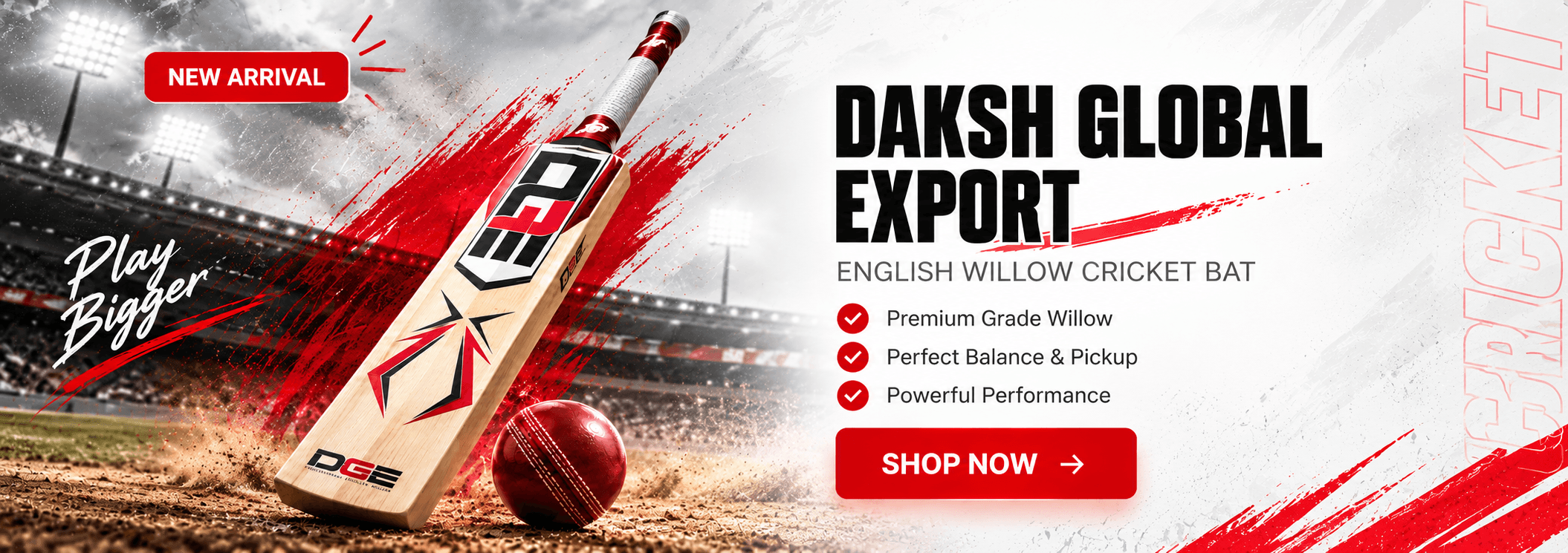 Daksh Global Export cricket gear
