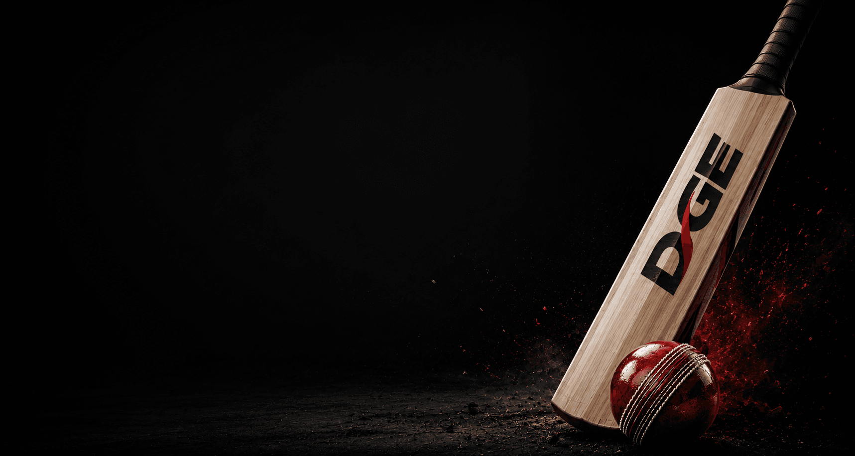 Daksh Global Exports premium cricket bat and ball