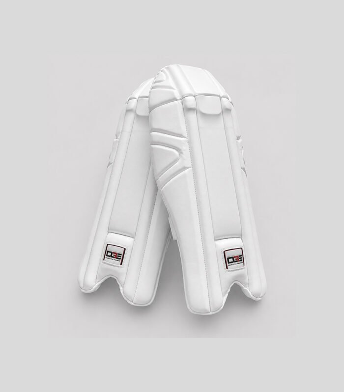 Premium Wicket Keeping Pads